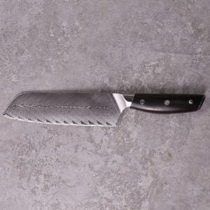 Best Sanmai Steel Santoku Knife