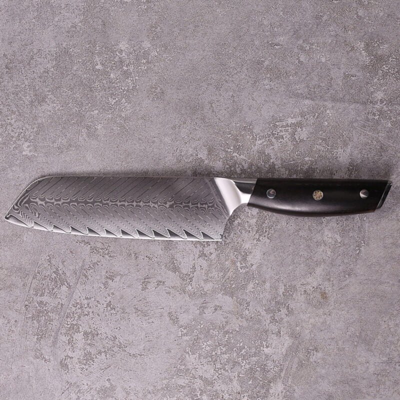 Best Sanmai Steel Santoku Knife