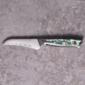 Blank Bird's Beak Paring Knife