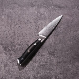 Damascus Paring Fruit Knife