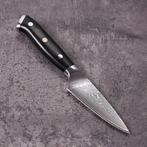 Paring Knife Fruit Knife with Black G10 Handle