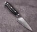 Paring Knife Fruit Knife with Black G10 Handle