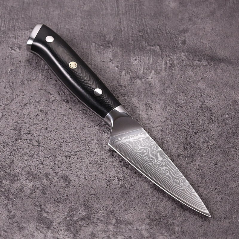 Paring Knife Fruit Knife with Black G10 Handle